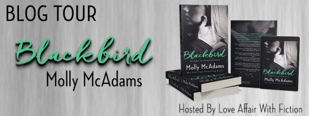 blackbird-bt-banner